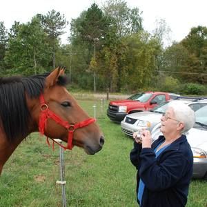 Meet your Posher, Judy